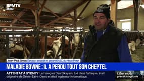 "On s'attache à elles": la quasi-totalité du cheptel de cet éleveur a été abattue mi-juillet 