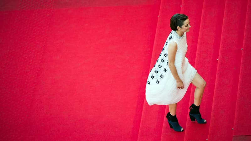 Marion Cotillard au Festival de Cannes en 2014.