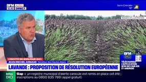 Lavande: quelles suites pour la proposition de résolution du sénateur Jean-Michel Arnaud?