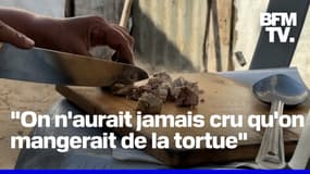 Gaza : les convois humanitaires sont bloqués, des Palestiniens affamés se nourrissent de viande de tortue