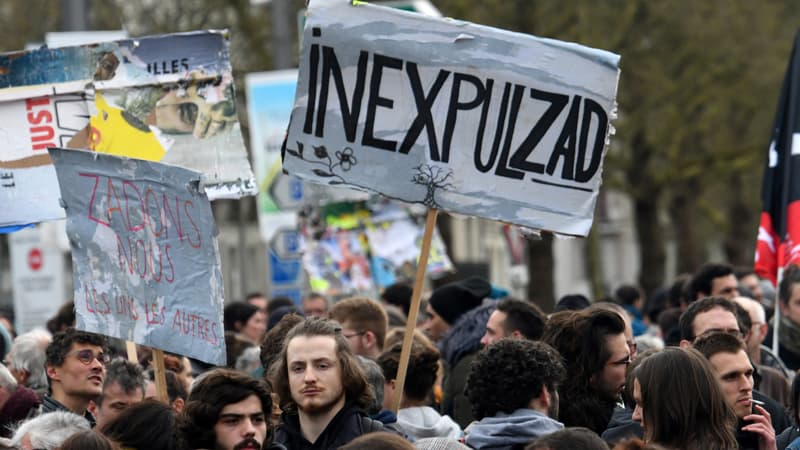 Des manifestants à Nantes. 