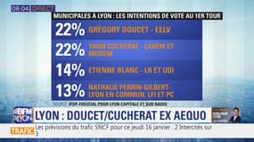 Elections municipales à Lyon: EELV et LaREM à égalité dans les intentions de vote, selon un sondage