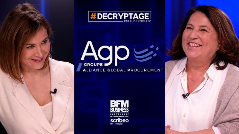 Groupe AGP, le spécialiste de l'externalisation de la fonction achat