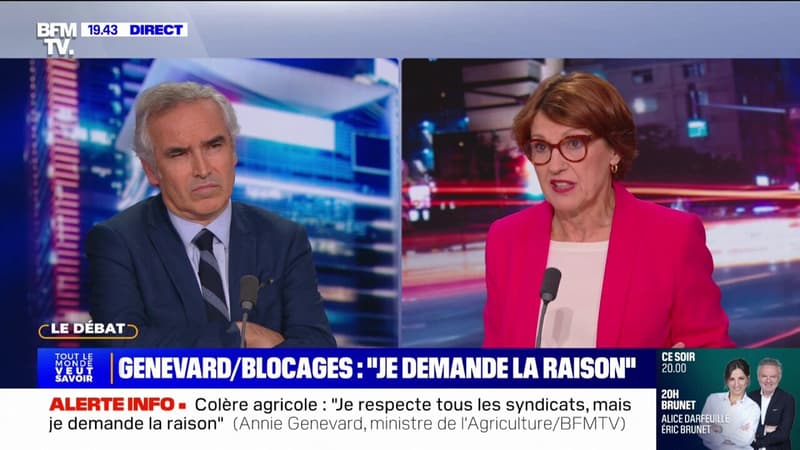 Annie Genevard (ministre de l'Agriculture): Nous avons énormément d'agriculteurs qui sont dans un grand état de souffrance