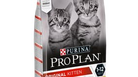 Rappel de croquettes pour chat de la marque Purina.