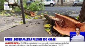 Tempête Ciaran: des rafales à plus de 100km/h à Paris