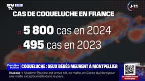 Santé: 5.800 cas de coqueluche enregistrés en France en 2024