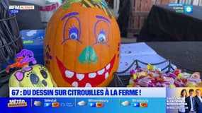 Bas-Rhin: dans cette ferme, on dessine sur les citrouilles