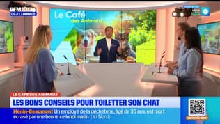 Bonjour Lille du mercredi 8 octobre 2025