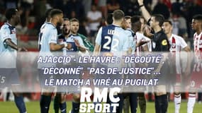 Ajaccio - Le Havre : "Dégoûté", "déconné", "pas de justice"... Le match a viré au pugilat
