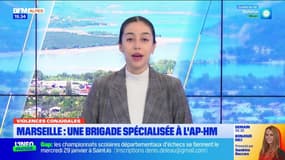 JT du Sud du lundi 13 janvier
