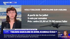 Charlène Fleury, coordinatrice du réseau “Rester sur Terre”, sur la ligne Toulouse-Barcelone: "Rétablir de telles lignes aériennes, c'est faire un bond en arrière"