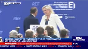 REF: La poignée de main entre Marine Le Pen et Éric Zemmour 