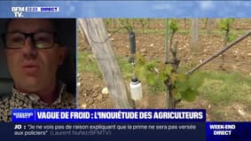 Vague de froid sur la France: l'inquiétude des agriculteurs - 21/04