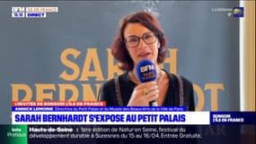 Paris: une exposition de l'artiste Sarah Bernhardt au Petit Palais