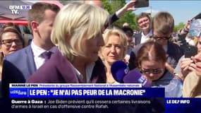 "Je n'ai peur de rien, et encore moins de la macronie": Marine Le Pen occupe le terrain à un mois des élections européennes