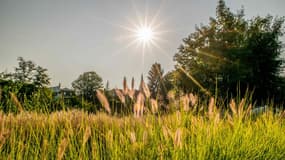 Le soleil en Aquitaine cet été 