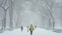 Des promeneurs à Central Park pendant une tempête de neige à New York, le 1er février 2021. (Photo d'illustration)
