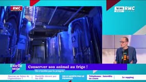 On n'arrête pas le progrès : Conserver son animal au frigo ! - 21/02