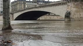 Le niveau de la Seine devrait atteindre 4 mètres en milieu de semaine.