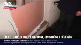 Floods, floods: the level of the Garonne is falling, but residents remain vigilant