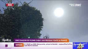 Une chaleur de plomb s'abat sur presque toute la France 