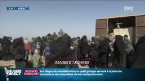 Qui sont les enfants de jihadistes rapatriés?