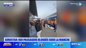 Eurostar: des passagers bloqués sous la Manche