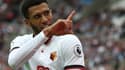 Etienne Capoue