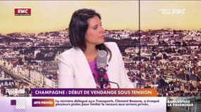 Lechypre d’affaires : Début de vendange sous tension en Champagne - 22/08