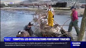 Tempêtes : les ostréiculteurs fortement touchés - 06/11