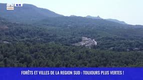 Forêts et villes de la Région Sud : toujours plus vertes !