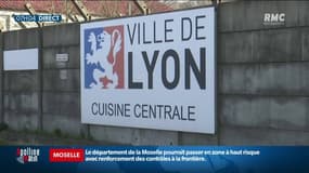 "C'est une intrusion dans la vie privée": pourquoi l'introduction d'un menu unique sans viande dans les écoles de Lyon fait polémique