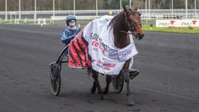 Idao de Tillard effectue sa rentrée dans le Prix du Bourbonnais - Amérique Races Q2