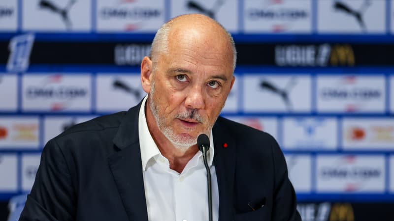 "Un surdoué qui ne le montre pas": Jean-Louis Borloo dresse le portrait élogieux de Stéphane Richard, le nouveau président de l’OM