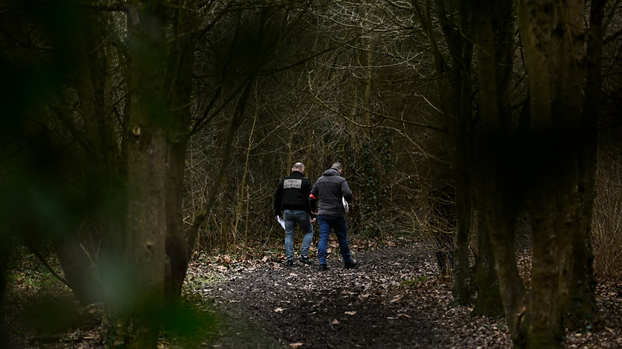 Des recherches menées dans le parc des Templiers, entre Épinay-sur-Orge et Longjumeau (Essonne), le 8 février 2025