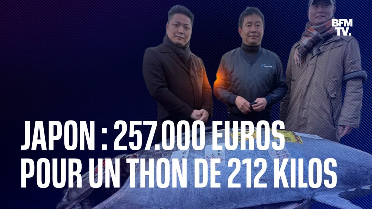 Japon. Un thon vendu aux enchères pour 257 000 euros à Tokyo