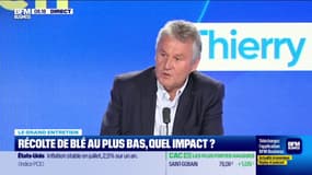 Récoltes : double peine pour les agriculteurs ?