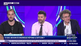 BFM Crypto, the Club: What economic need does Bitcoin cover - 07/13