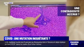 Mutation du Covid-19: que sait-on de cette nouvelle souche?