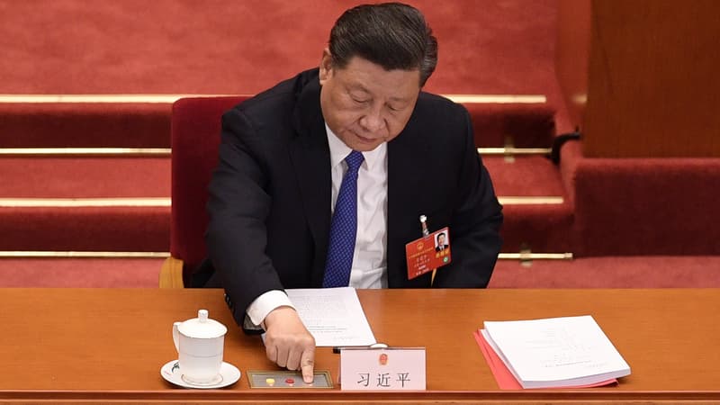 Le président chinois Xi Jinping, le 28 mai 2020