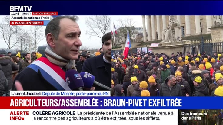 Laurent Jacobelli (RN): "Les agriculteurs en ont marre qu'on leur mente" 