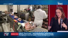 Dinde, chapon, poularde : quelle volaille choisir et comment la cuisiner ?