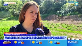 Meurtre d'Alban Gervaise: son épouse dénonce l'irresponsabilité pénale envisagée pour le principal suspect