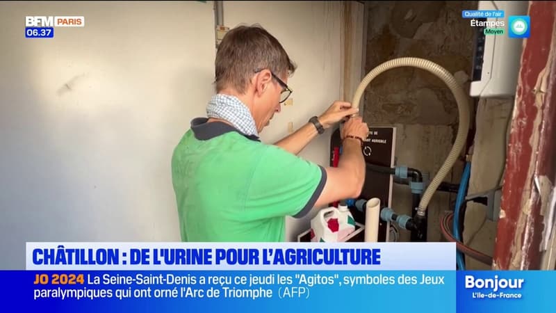 Châtillon: de l'urine récoltée pour l'agriculture