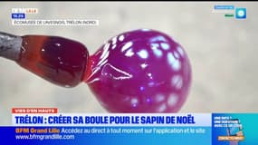 Vies d'en Hauts - Un Noël 100% Hauts-de-France