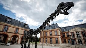Le squelette de "Vulcain" à Dampierre-en-Yvelines (Yvelines), le 10 juillet 2024.
