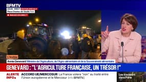 Dermatose nodulaire contagieuse: "On attend que l'immunité collective soit garantie pour envisager de faire bouger le protocole", explique la ministre de l'Agriculture