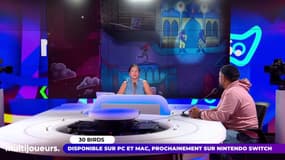 30 Birds: la petite perle poétique et lumineuse d'Arte