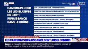 Législatives: qui sont les candidats Renaissance dans le Rhône?